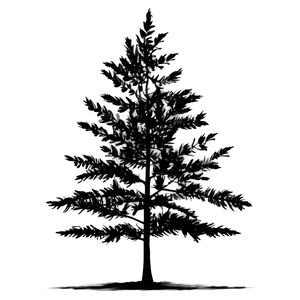 Minimalist Black Tree Png 06212024 PNG image