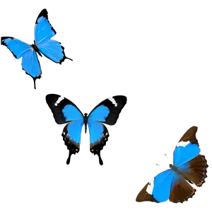 Minimalist Blue Butterflies PNG Mrc
