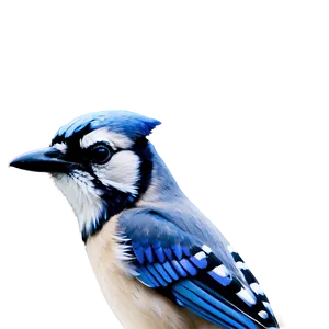 Minimalist Blue Jay Design PNG Nnx51 PNG