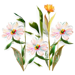 Minimalist Boho Flowers Png 85 PNG image