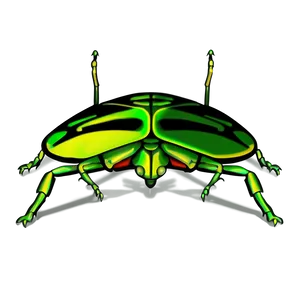 Minimalist Bug PNG 5 PNG