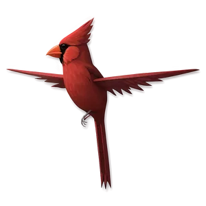 Minimalist Cardinal Design PNG 23