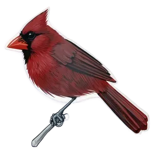 Minimalist Cardinal Design PNG 9 PNG