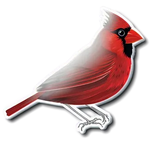 Minimalist Cardinal Design PNG Mkm PNG
