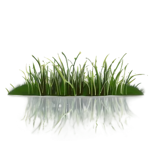 Minimalist Cartoon Grass PNG 2 PNG