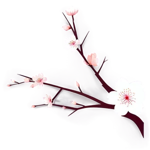 Minimalist Cherry Blossom Art PNG 32 PNG