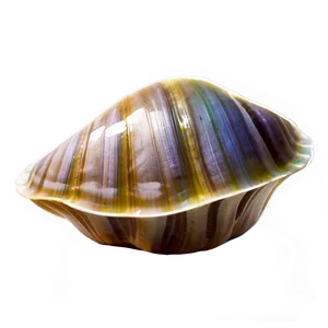 Minimalist Clam Icon PNG 05242024