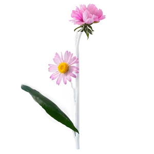 Minimalist Corner Flower PNG Cdo58 PNG