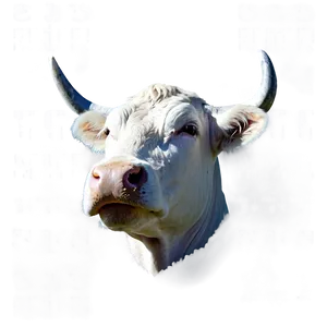 Minimalist Cow Face PNG 29