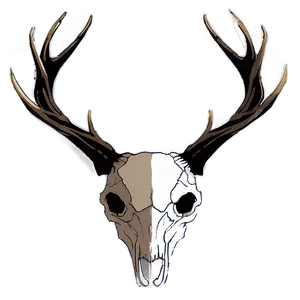 Minimalist Deer Skull Outline PNG 06132024 PNG