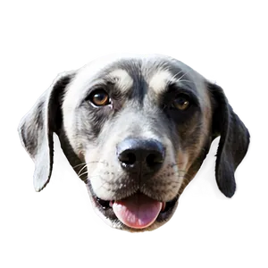 Minimalist Dog Face Design PNG Khe51 PNG