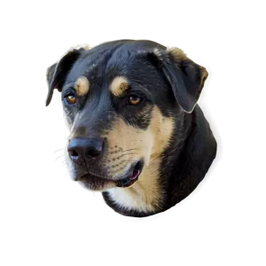 Minimalist Dog Head PNG 7 PNG