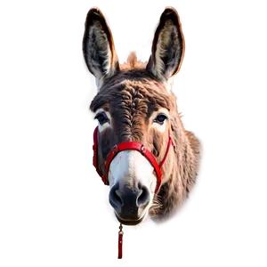 Minimalist Donkey Design PNG 8