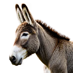 Minimalist Donkey Design PNG Uhf