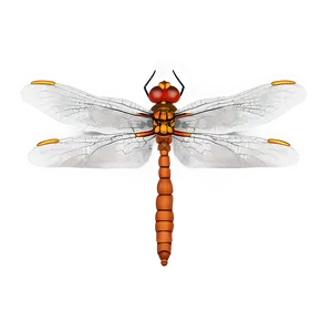 Minimalist Dragonfly Png 05212024 PNG image