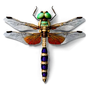 Minimalist Dragonfly PNG 93 PNG