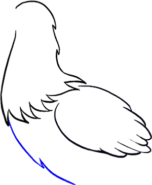 Minimalist Eagle Wing Drawing