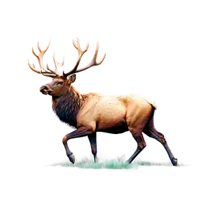 Minimalist Elk Png Orc44 PNG image