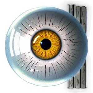 Minimalist Eyeball Png Ryj PNG image