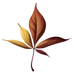 Minimalist Fall Leaf Png Dat6 PNG image