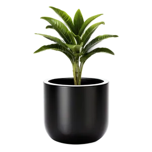 Minimalist Floor Plant Png 9 PNG image