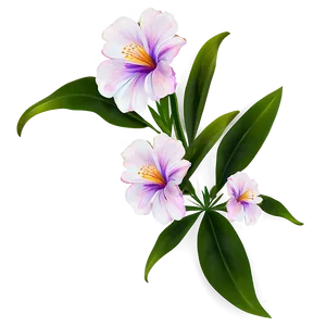 Minimalist Floral Pattern PNG 06202024