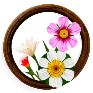 Minimalist Flower Circle PNG Igo12 PNG