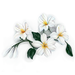 Minimalist Flower Clipart PNG 05252024