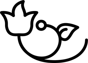 Minimalist Flower Outline PNG