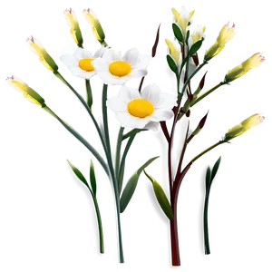 Minimalist Flower Stem PNG Lqd49 PNG