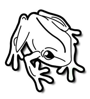 Minimalist Frogin Darkness PNG