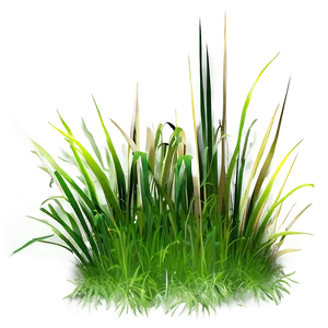 Minimalist Grass Clipart PNG Cso PNG