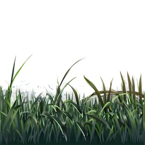 Minimalist Grass Clipart PNG Rco55 PNG