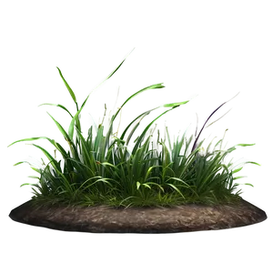 Minimalist Grass Patch Png 06212024 PNG image