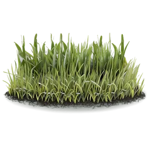 Minimalist Grass Patch Png Eke84 PNG image