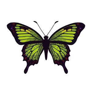 Minimalist Green Butterfly Png 06202024 PNG image