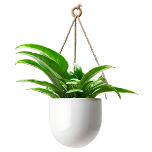 Minimalist Hanging Plant Png 41 PNG image