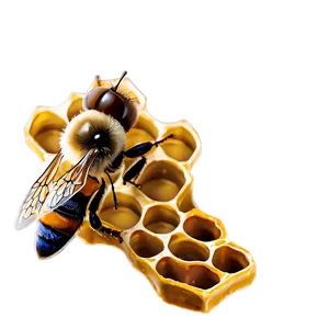 Minimalist Honeycomb PNG Mbw