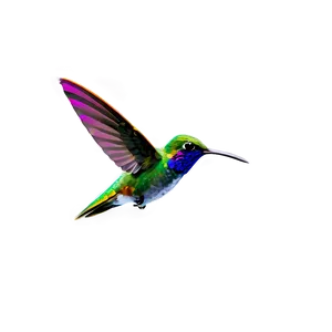 Minimalist Hummingbird Png 77 PNG image