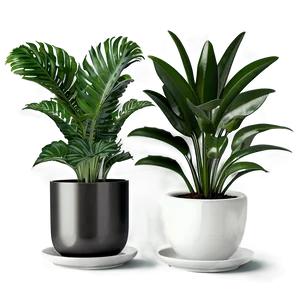 Minimalist Indoor Plants Png 06252024 PNG image