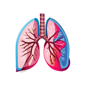 Minimalist Lungs Icon Png Gbt PNG image