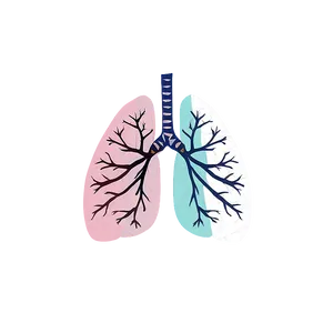 Minimalist Lungs Icon Png Jln28 PNG image