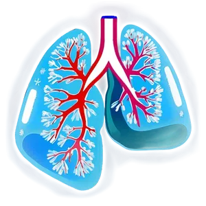Minimalist Lungs Icon Png Xsh38 PNG image