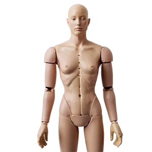 Minimalist Mannequin PNG Lnk