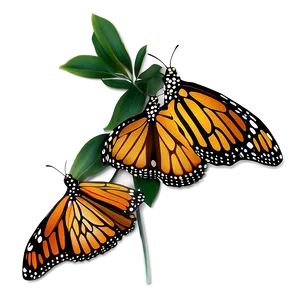 Minimalist Monarch Butterfly PNG Sal PNG