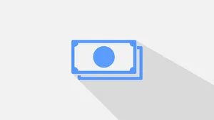 Minimalist Money Icon