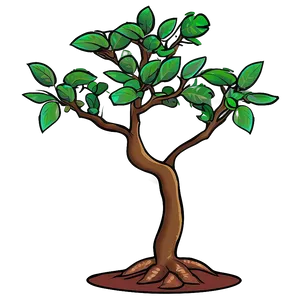 Minimalist Money Tree PNG Bqx47 PNG