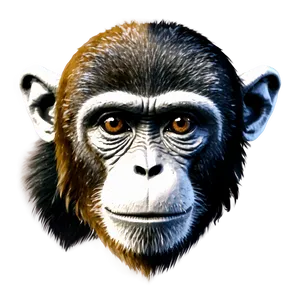 Minimalist Monkey Face Icon PNG Cnm PNG