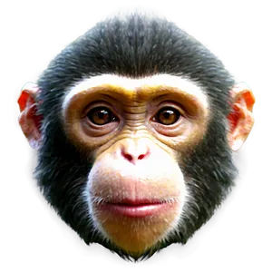 Minimalist Monkey Face Icon PNG Mgn10 PNG