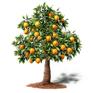 Minimalist Orange Tree PNG 41